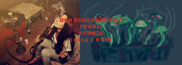 соль ск Абаза
