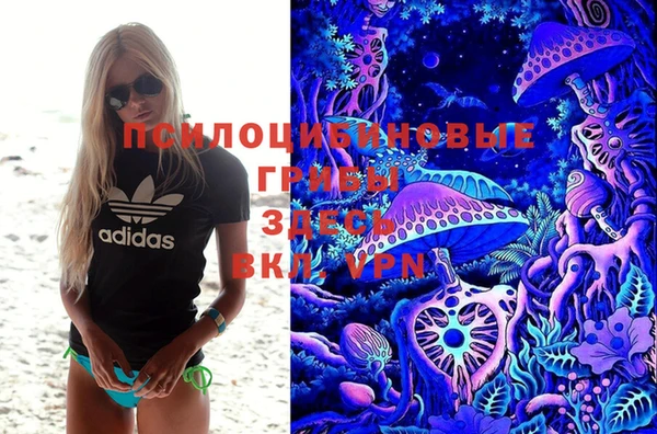 соль ск Абаза