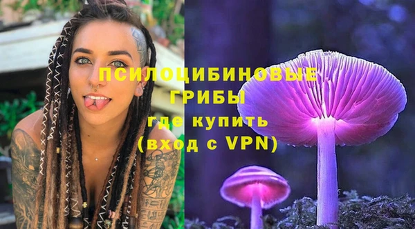 PSILOCYBIN Покачи